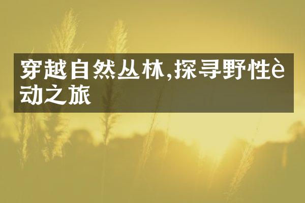 穿越自然丛林,探寻野性运动之旅