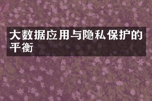 大数据应用与隐私保护的平衡