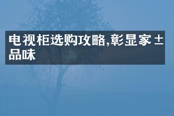 电视柜选购攻略,彰显家居品味