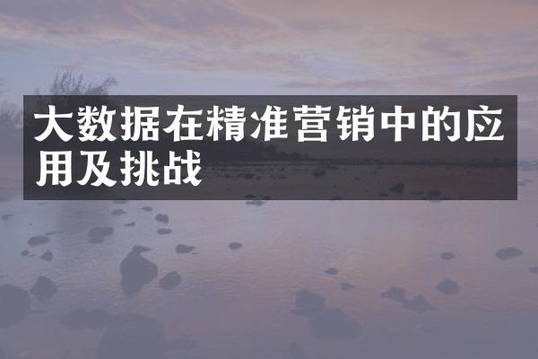 大数据在精准营销中的应用及挑战