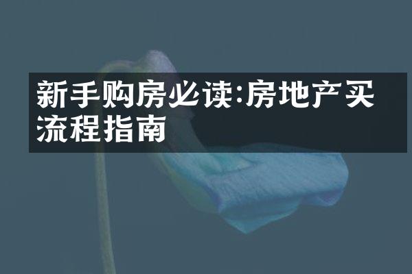 新手购房必读:房地产买卖流程指南