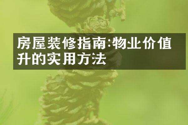 房屋装修指南:物业价值提升的实用方法