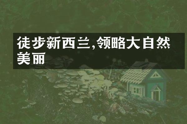徒步新西兰,领略大自然的美丽