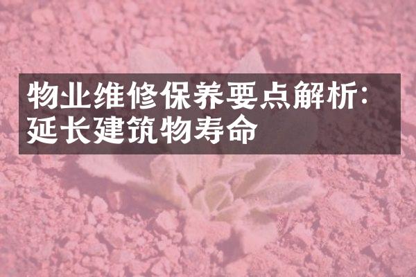 物业维修保养要点解析：延长建筑物寿命