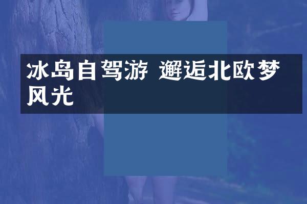 冰岛自驾游 邂逅北欧梦幻风光