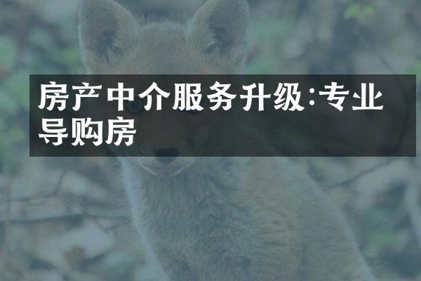 房产中介服务升级:专业指导购房