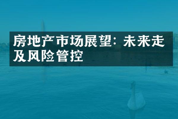 房地产市场展望: 未来走势及风险管控