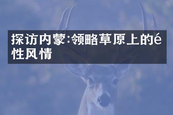 探访内蒙:领略草原上的野性风情