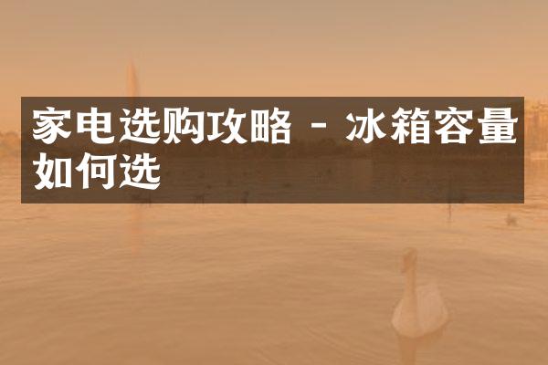 家电选购攻略 - 冰箱容量如何选