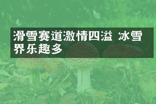 滑雪赛道激情四溢 冰雪世界乐趣多
