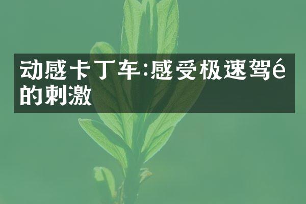 动感卡丁车:感受极速驾驶的刺激