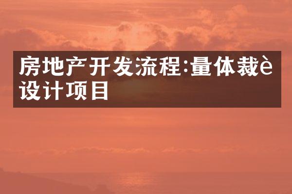 房地产开发流程:量体裁衣设计项目