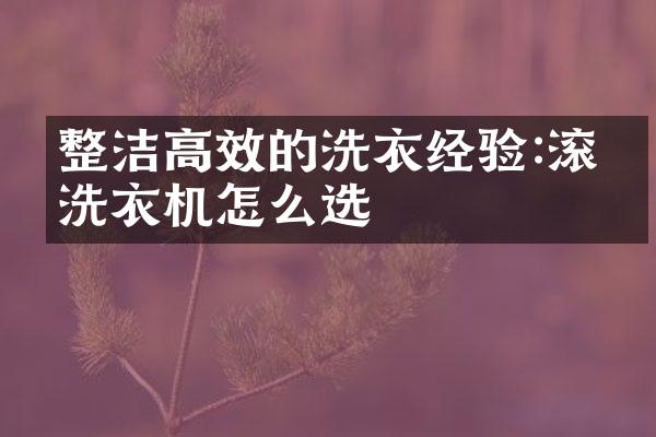 整洁高效的洗衣经验:滚筒洗衣机怎么选