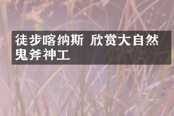 徒步喀纳斯 欣赏大自然的鬼斧神工