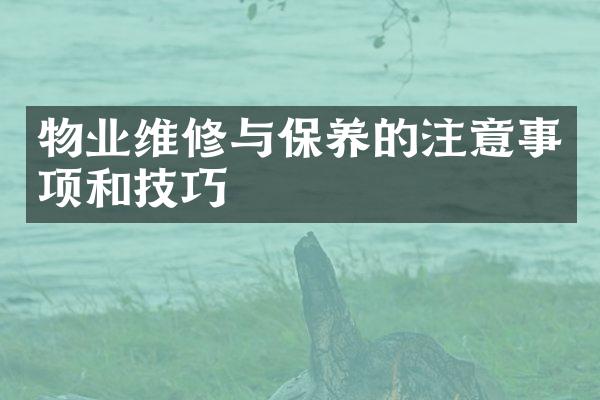 物业维修与保养的注意事项和技巧