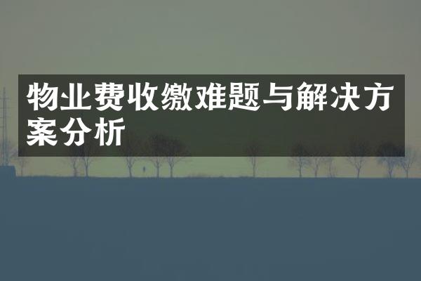物业费收缴难题与解决方案分析