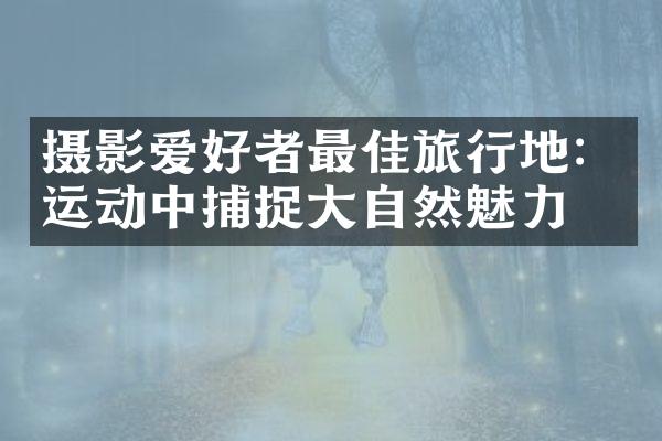 摄影爱好者最佳旅行地：运动中捕捉大自然魅力