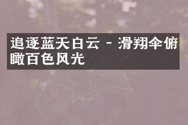 追逐蓝天白云 - 滑翔伞俯瞰百色风光