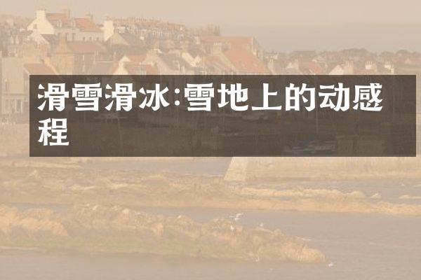 滑雪滑冰:雪地上的动感旅程
