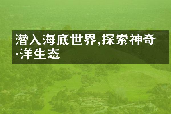 潜入海底世界,探索神奇海洋生态