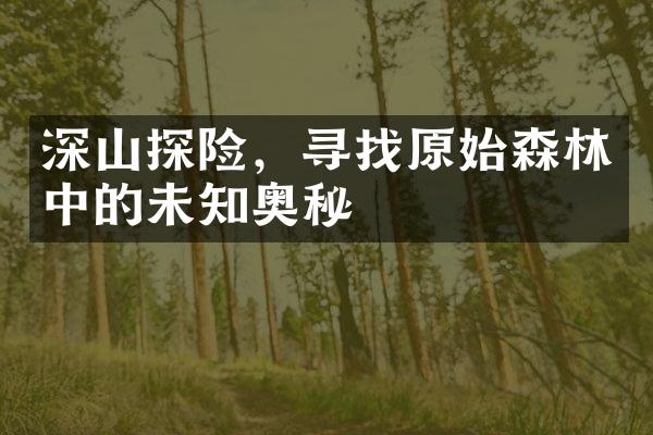 深山探险，寻找原始森林中的未知奥秘