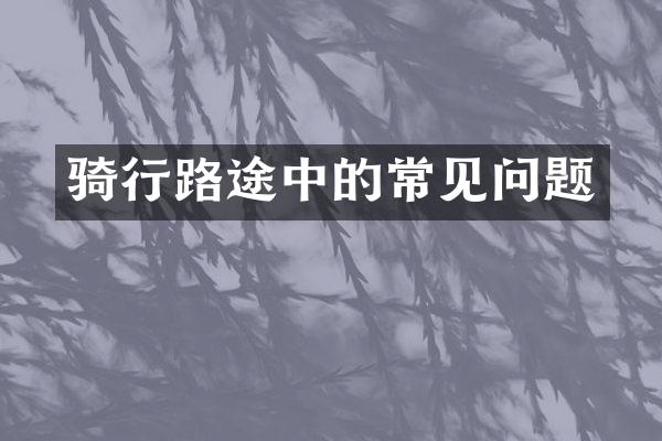 骑行路途中的常见问题