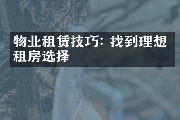 物业租赁技巧: 找到理想的租房选择