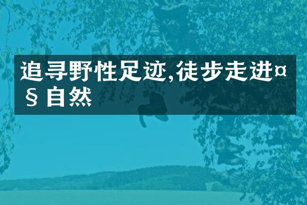 追寻野性足迹,徒步走进大自然