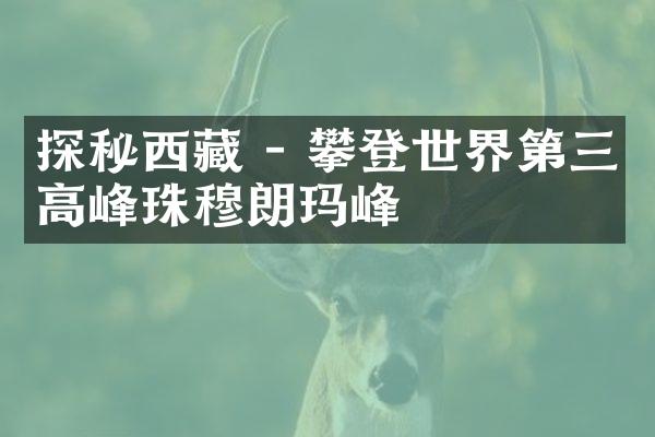 探秘西藏 - 攀登世界第三高峰珠穆朗玛峰