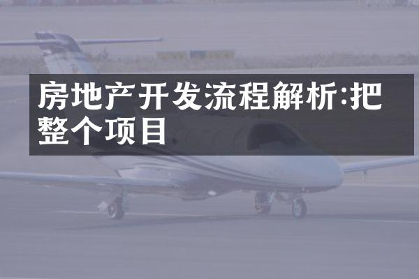 房地产开发流程解析:把握整个项目