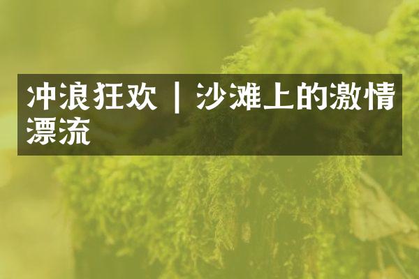 冲浪狂欢 | 沙滩上的激情漂流