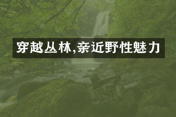 穿越丛林,亲近野性魅力