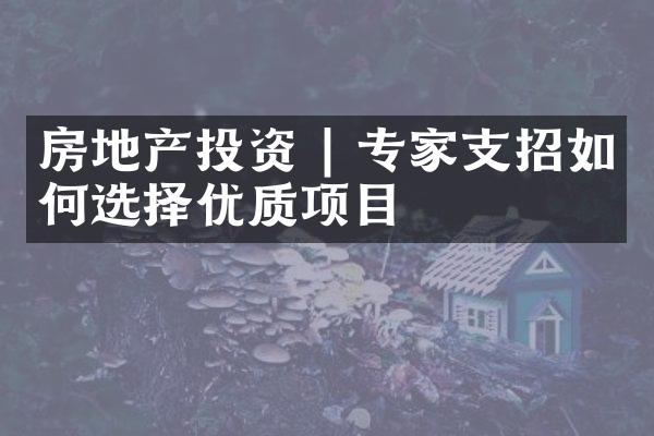 房地产投资 | 专家支招如何选择优质项目