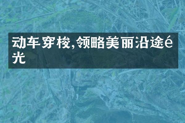 动车穿梭,领略美丽沿途风光