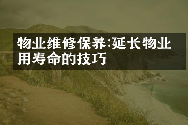 物业维修保养:延长物业使用寿命的技巧