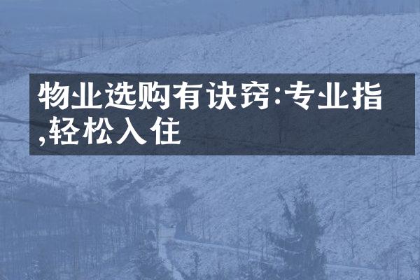 物业选购有诀窍:专业指引,轻松入住