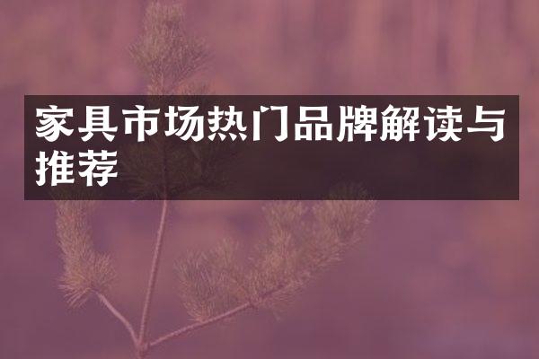 家具市场热门品牌解读与推荐