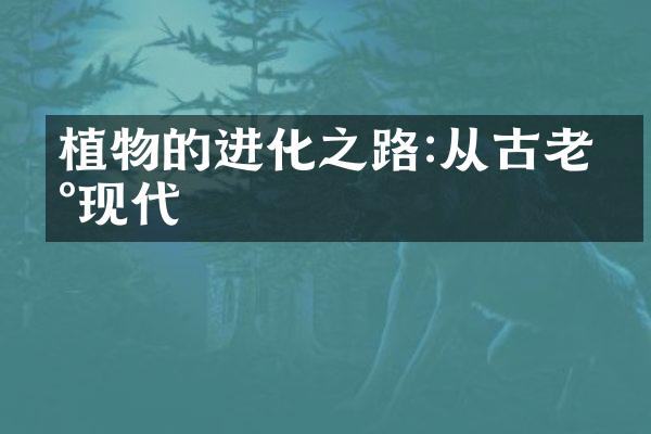 植物的进化之路:从古老到现代