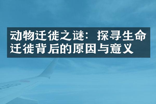 动物迁徙之谜：探寻生命迁徙背后的原因与意义