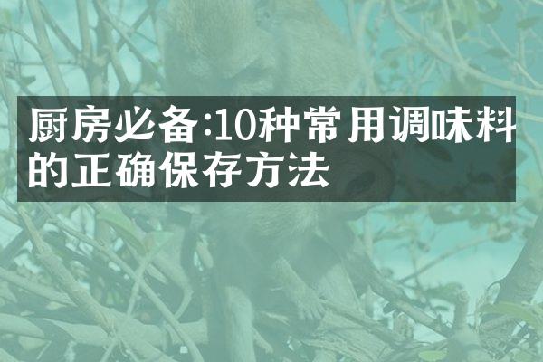 厨房必备:10种常用调味料的正确保存方法