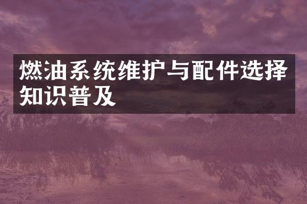 燃油系统维护与配件选择知识普及