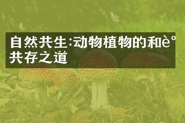 自然共生:动物植物的和谐共存之道
