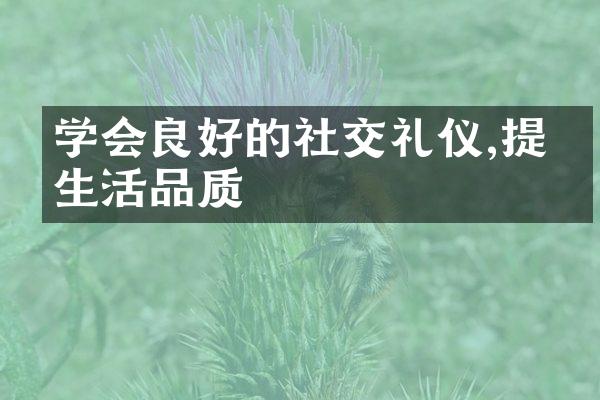学会良好的社交礼仪,提升生活品质