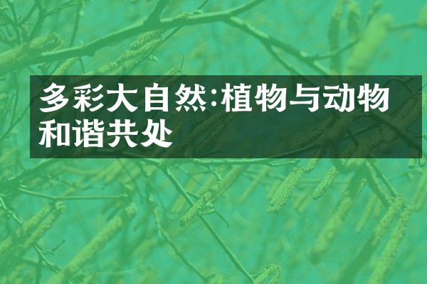 多彩大自然:植物与动物的和谐共处
