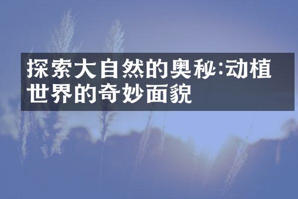 探索大自然的奥秘:动植物世界的奇妙面貌