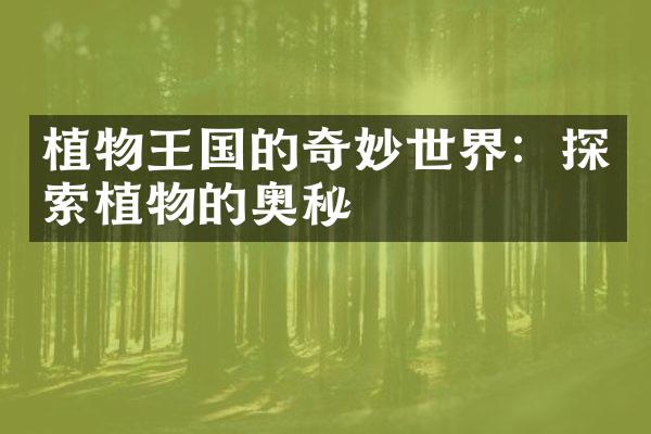 植物王国的奇妙世界：探索植物的奥秘