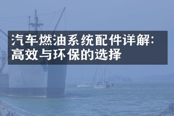汽车燃油系统配件详解：高效与环保的选择