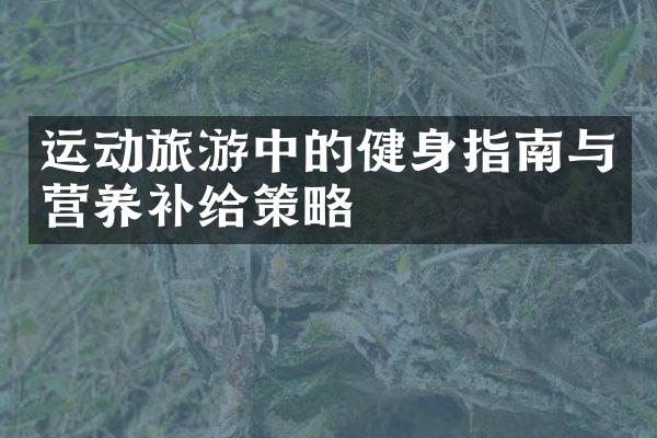 运动旅游中的健身指南与营养补给策略