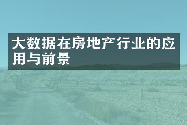 大数据在房地产行业的应用与前景