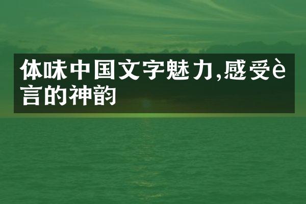 体味中国文字魅力,感受语言的神韵